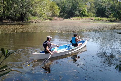 Noosa Hinterland Scenic Canoe Tour - New South Wales Tourism  6