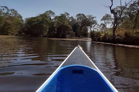 Noosa Hinterland Scenic Canoe Tour - New South Wales Tourism  3