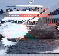 Half-Day Whale Watching in Urangan - New South Wales Tourism 