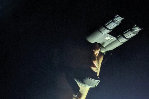 Nature By Night - New South Wales Tourism  3