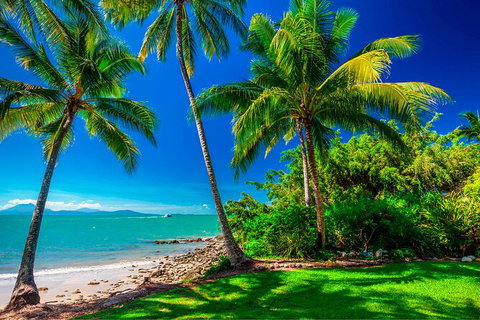 SHUTTLE - Port Douglas And Craiglie Return Transfer - New South Wales Tourism  2