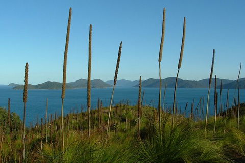 7-Day Private Sea Kayaking In Whitsundays - New South Wales Tourism  8