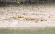 Hinchinbrook Island Tour - thumb 2