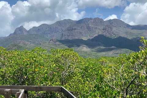 Hinchinbrook Island Tour - New South Wales Tourism  0