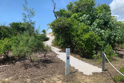 Hinchinbrook Island Tour - New South Wales Tourism  1