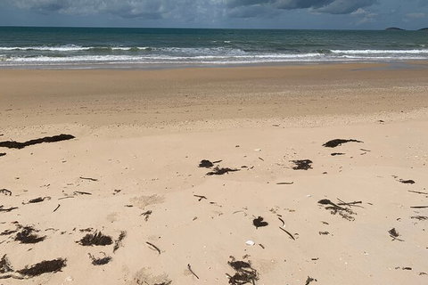 Hinchinbrook Island Tour - New South Wales Tourism  6