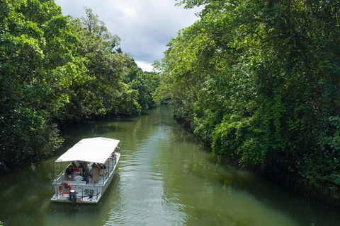 World Heritage Highlights: Reef/Daintree/Cape Tribulation - New South Wales Tourism  1