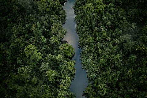 World Heritage Highlights: Reef/Daintree/Cape Tribulation - New South Wales Tourism  10