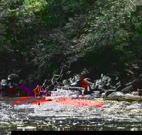 Mossman Gorge Adventure Day - New South Wales Tourism 