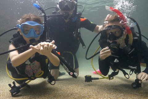 Scuba Kids- Padi Bubblemaker Course - New South Wales Tourism  4
