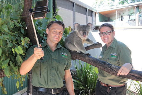 Virtual Interactive Australian Wildlife Tour With Private Guide-Wildlife Habitat - New South Wales Tourism  4