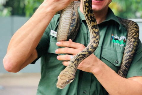 Virtual Interactive Australian Wildlife Tour With Private Guide-Wildlife Habitat - New South Wales Tourism  3