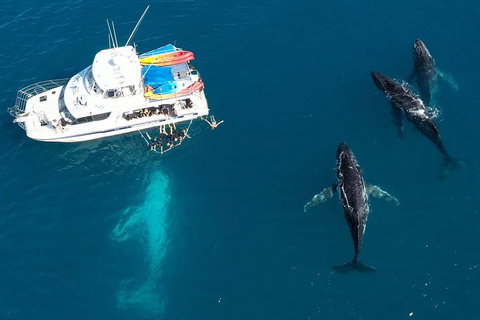 Remote Fraser Island & Whale Experience - New South Wales Tourism  3
