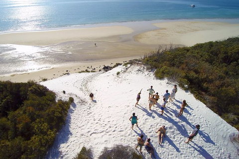 Remote Fraser Island & Whale Experience - New South Wales Tourism  2