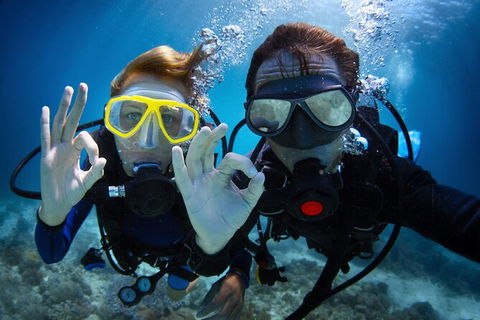 2 Night Whitsunday Islands Cruise On Atlantic Clipper From Airlie Beach - New South Wales Tourism  4
