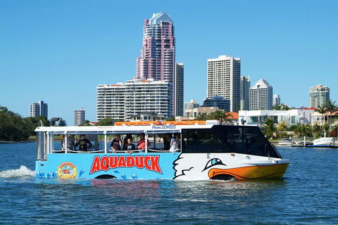 Aquaduck & Paradise Jet Boating Combo - New South Wales Tourism  5