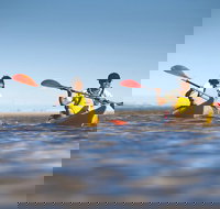 Kangaroo Island Self-Guided Kayaking on the Harriet River - New South Wales Tourism 