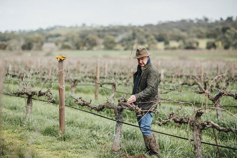 Armagh Vineyard Exclusive Wine Experience And Lunch - New South Wales Tourism  0