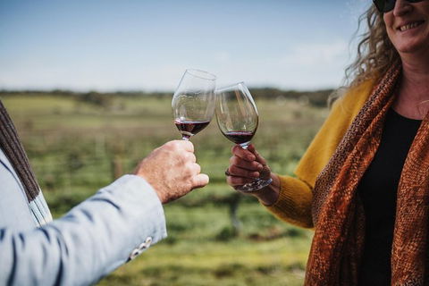 Armagh Vineyard Exclusive Wine Experience And Lunch - New South Wales Tourism  1