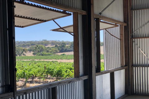 Armagh Vineyard Exclusive Wine Experience And Lunch - New South Wales Tourism  5