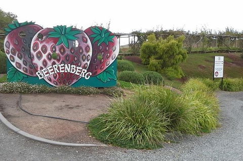 Adelaide Hills Regional / Hahndorf German Village Tour - New South Wales Tourism  6