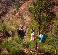 3-Night Wilpena Pound Getaway Including Scenic Flight and 4WD Tour - New South Wales Tourism 