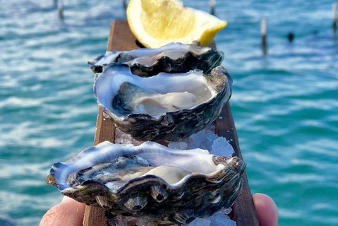 Coffin Bay Oysters, Ocean & Nature Tour - New South Wales Tourism  0