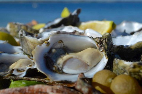 Coffin Bay Oysters, Ocean & Nature Tour - New South Wales Tourism  8