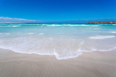 Coffin Bay Oysters, Ocean & Nature Tour - New South Wales Tourism  14