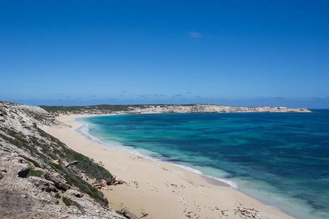 Coffin Bay Oysters, Ocean & Nature Tour - New South Wales Tourism  16