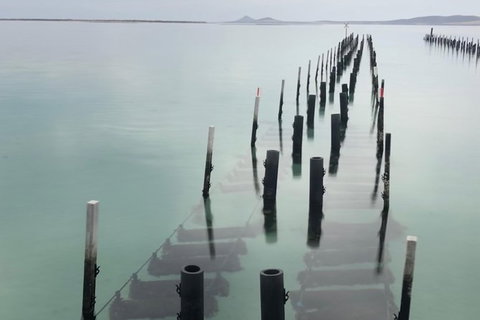 Coffin Bay Oysters, Ocean & Nature Tour - New South Wales Tourism  15