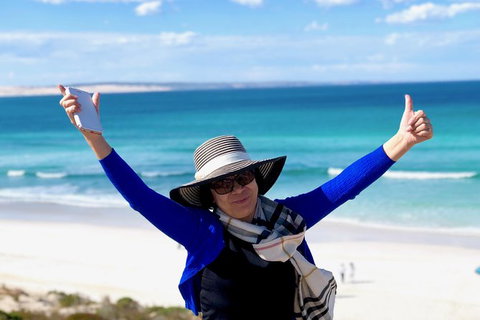 Coffin Bay Oysters, Ocean & Nature Tour - New South Wales Tourism  11