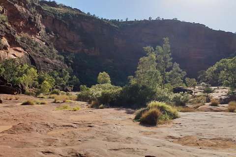 10 Day Adelaide To Alice Springs Adventure - New South Wales Tourism  7