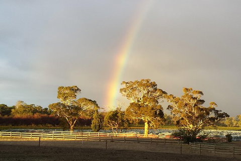 Structured Wine Tasting And Platter - New South Wales Tourism  3