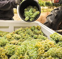 Adelaide Hills Wineries  Hahndorf - New South Wales Tourism 