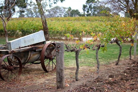 Maggie Beer Farm - Barossa Valley Regional Tour - New South Wales Tourism  6