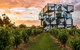 Private McLaren Vale Wine, Gin, & D\'Arenberg Cube Tour - thumb 2