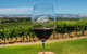Private McLaren Vale Wine, Gin, & D\'Arenberg Cube Tour - thumb 5