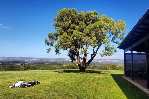 Private McLaren Vale Wine, Gin, & D\'Arenberg Cube Tour - New South Wales Tourism  1