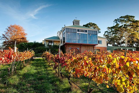Adelaide Hills Food, Wine, Cheese, & Chocolate - Private Day Tour - New South Wales Tourism  7