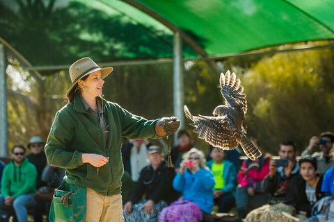 One Day Kangaroo Island Sip & See Tour With Return Ferry Transfers From Adelaide - New South Wales Tourism  5