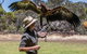 One Day Kangaroo Island Sip & See Tour With Return Ferry Transfers From Adelaide - thumb 6