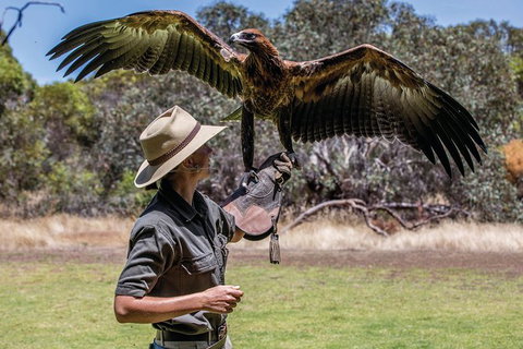 One Day Kangaroo Island Sip & See Tour With Return Ferry Transfers From Adelaide - New South Wales Tourism  6