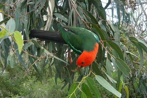 3-Day Private Adelaide To Melbourne Tour - New South Wales Tourism  2