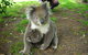 3-Day Private Adelaide To Melbourne Tour - thumb 4