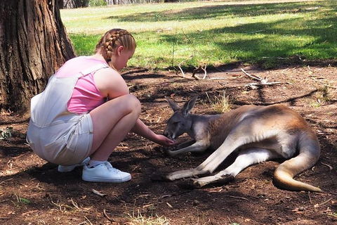 Adelaide Driving Tour - New South Wales Tourism  0