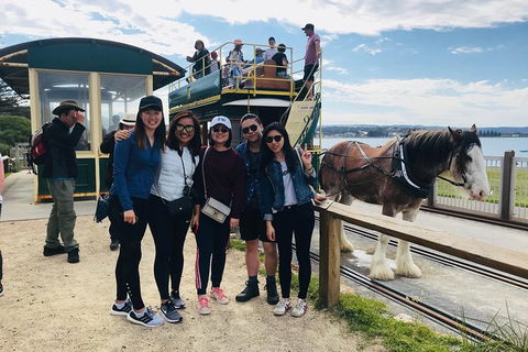 Adelaide Driving Tour - New South Wales Tourism  3