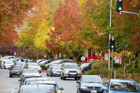 Adelaide Hills Full Day Winery Tour With Tastings - New South Wales Tourism  3