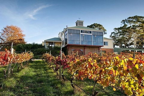Adelaide Hills Full Day Winery Tour With Tastings - New South Wales Tourism  0
