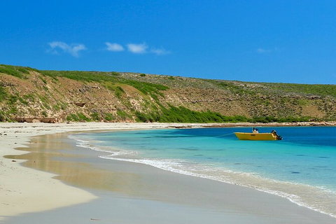 3-Day Guided Seafood Lovers Tour Of Ceduna From Adelaide - New South Wales Tourism  13